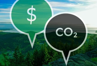 Mercado voluntário de carbono bate recorde e deve superar US$ 1 bilhão no ano
