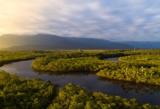 Amazônia: Se você não é parte da solução, então você é parte do problema