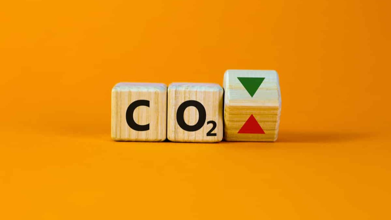 Vibra e Comerc entram na comercialização de créditos de carbono