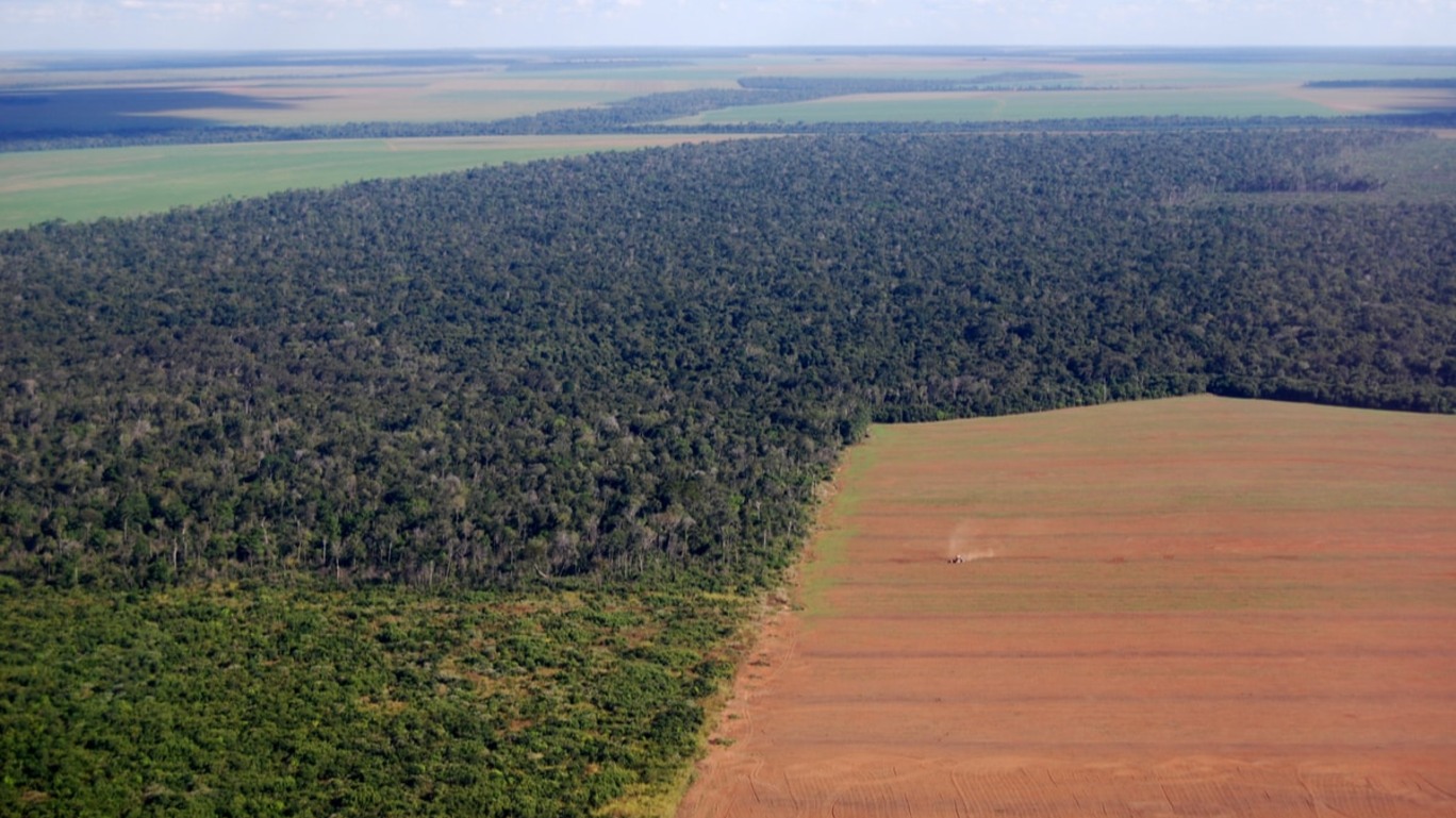 A carta de intenções de Bradesco, Itaú e Santander para a Amazônia