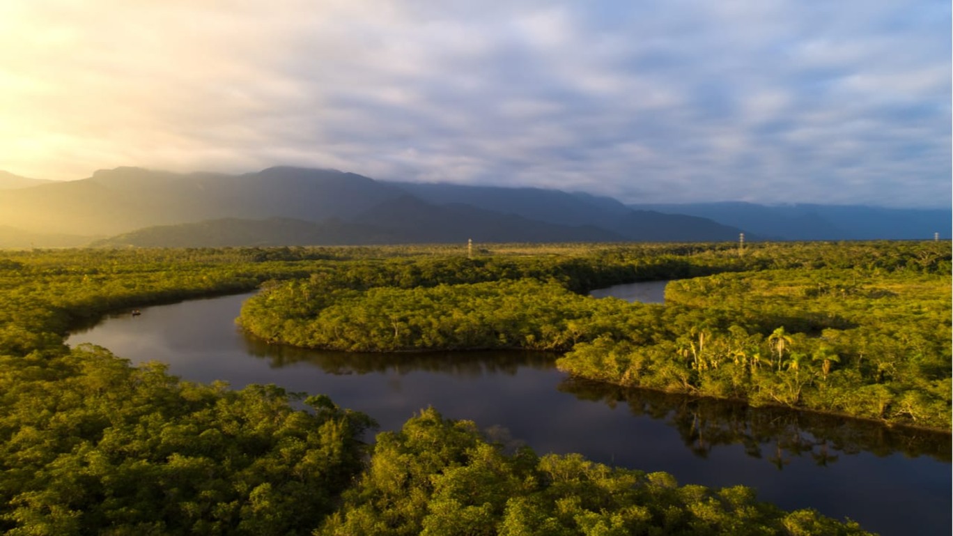Amazônia: Se você não é parte da solução, então você é parte do problema