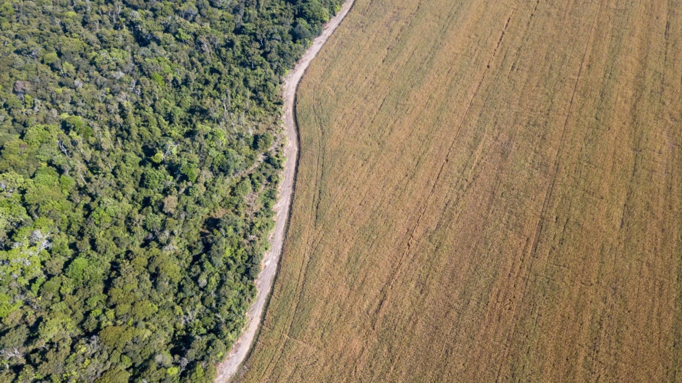 vista aérea de area desmatada ao lado de floresta na fronteira do parque indígena do xingu