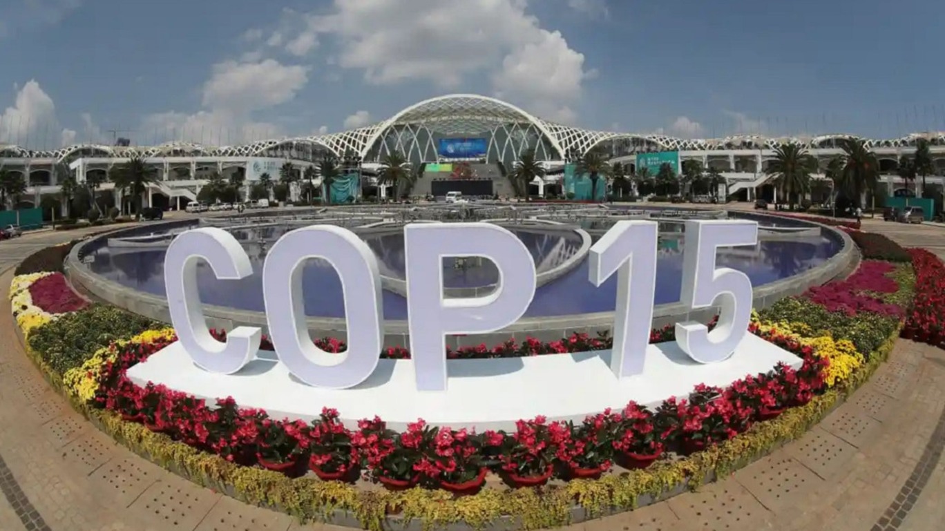 A COP15, em Montreal, chegou a um 'Acordo de Paris' para proteger a natureza