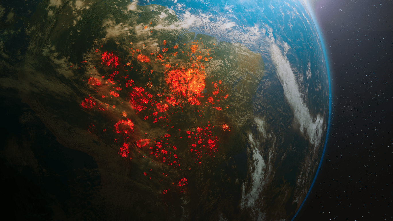 Imagem de satélite mostra queimadas na Amazônia
