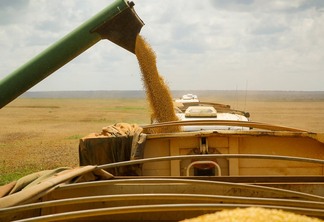 Crise dos fertilizantes é chance para Brasil acelerar agro sustentável