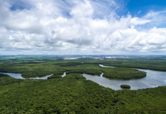 vista aérea de trecho de floresta amazônica cortada por rio e céu azul com nuvens