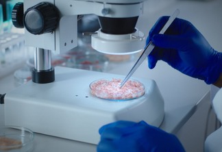 Cientista examina no microscópio carne cultivada em laboratório