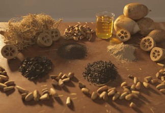 Coco de babaçu e produtos derivados do fruto, como palha e álcool, expostos em uma mesa de forma circular.