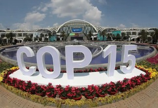 A COP15, em Montreal, chegou a um 'Acordo de Paris' para proteger a natureza