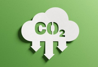 Dez princípios para créditos de carbono de qualidade