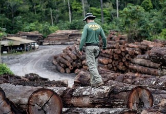 Agente do Ibama fiscaliza madeira apreendida na Amazônia