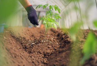 O Pátria está fazendo uma aposta na consolidação do setor de fertilizantes especiais, com tese de exposição à agricultura regenerativa