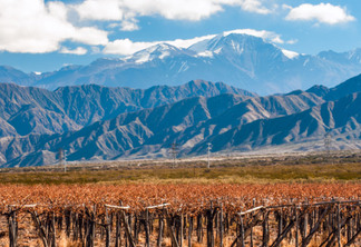 As mudanças climáticas reduziram a quantidade de neve nos Andes, mudando o mapa dos vinheodos na Argentina