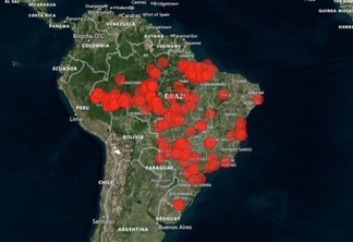 Onde estão os créditos de carbono brasileiros? Este painel aponta