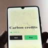 Itaú e mais oito bancos se unem para criar marketplace de créditos de carbono
