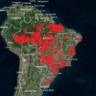Onde estão os créditos de carbono brasileiros? Este painel aponta