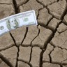 Estabilidade financeira? Coloque risco climático e capital natural na conta