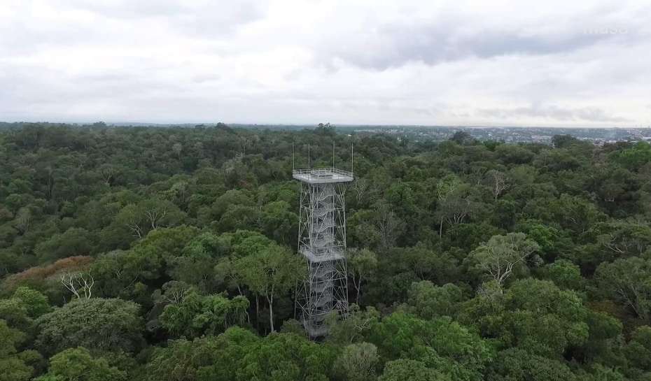 Mais ambição e menos idealização: Os conselhos de um Benchimol para investidores na Amazônia Mais ambição e menos idealização: Os conselhos de um Benchimol para investidores na Amazônia