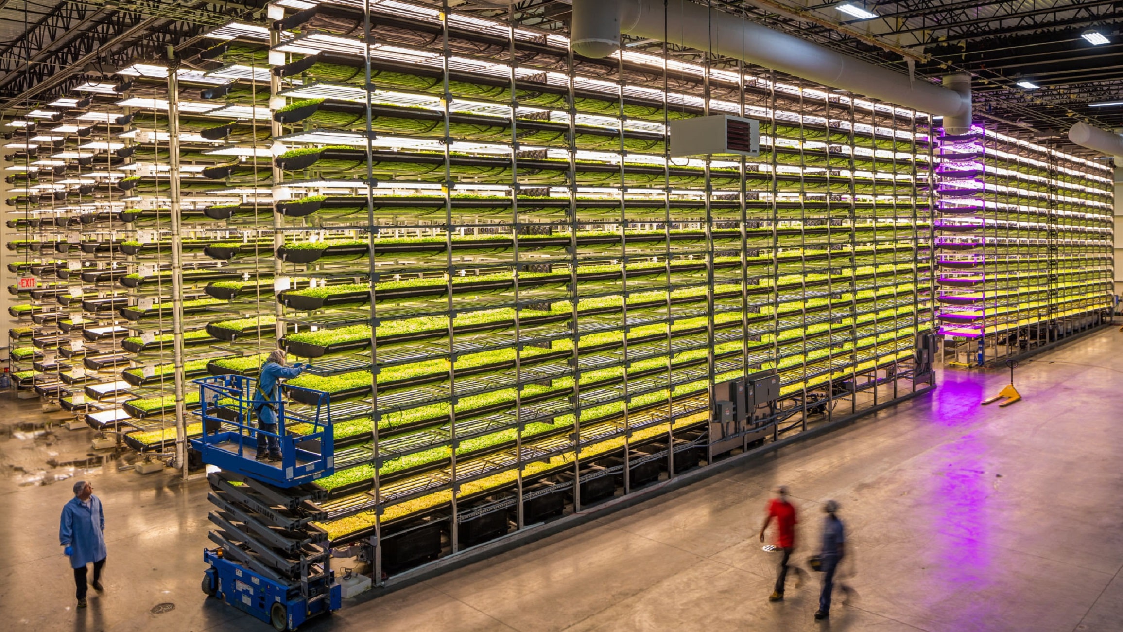 Aerofarms vertical farming
Vertical grow tower Aerofarms vertical farming
Vertical grow tower