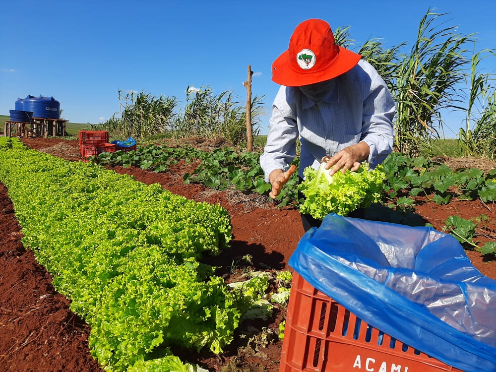 MST vai ao mercado de capitais para financiar agricultura familiar MST vai ao mercado de capitais para financiar agricultura familiar