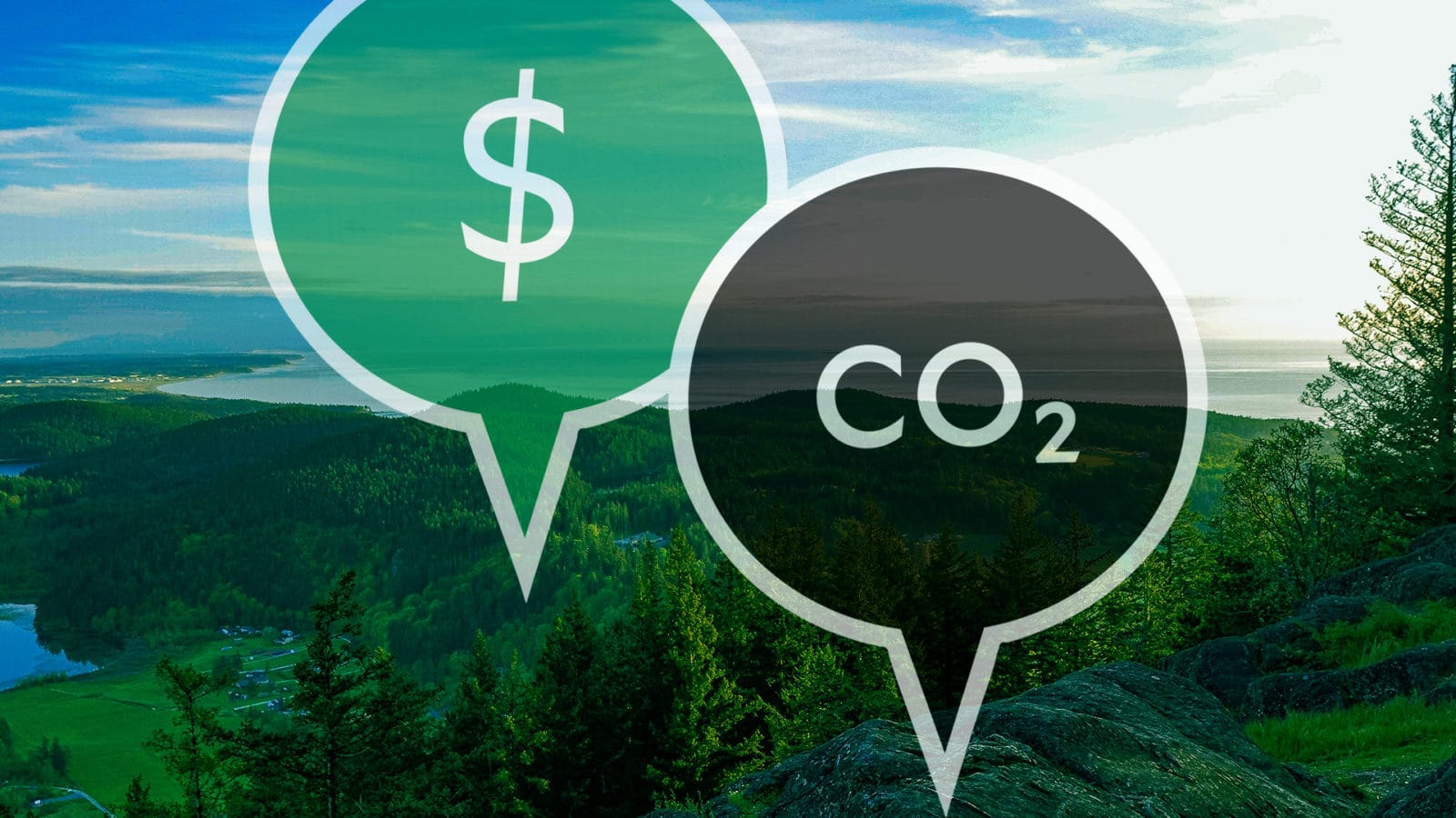 Mercado voluntário de carbono bate recorde e deve superar US$ 1 bilhão no ano Mercado voluntário de carbono bate recorde e deve superar US$ 1 bilhão no ano