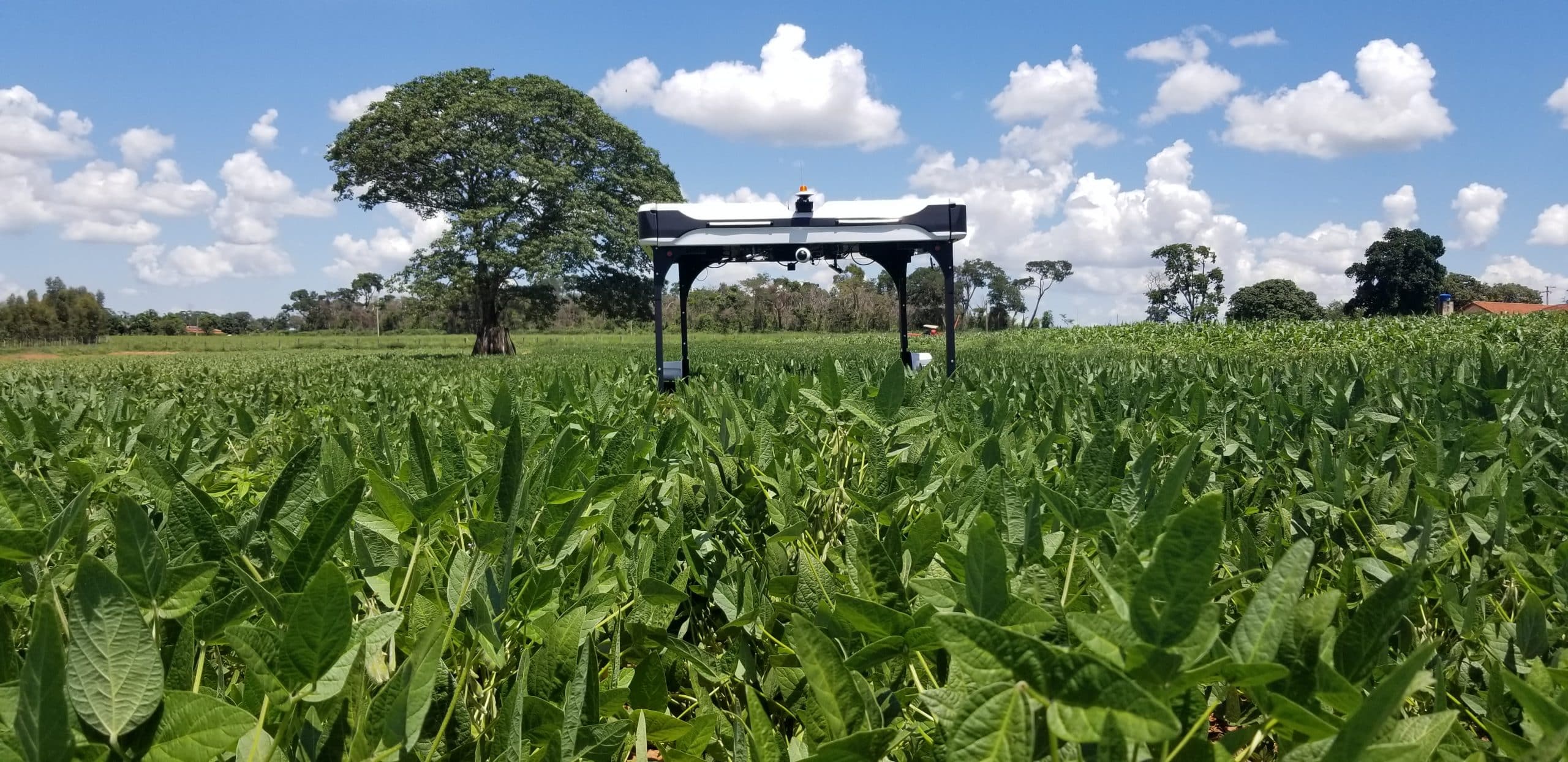 O robô de monitoramento de plantações Solix, desenvolvido pela Solinftec O robô de monitoramento de plantações Solix, desenvolvido pela Solinftec