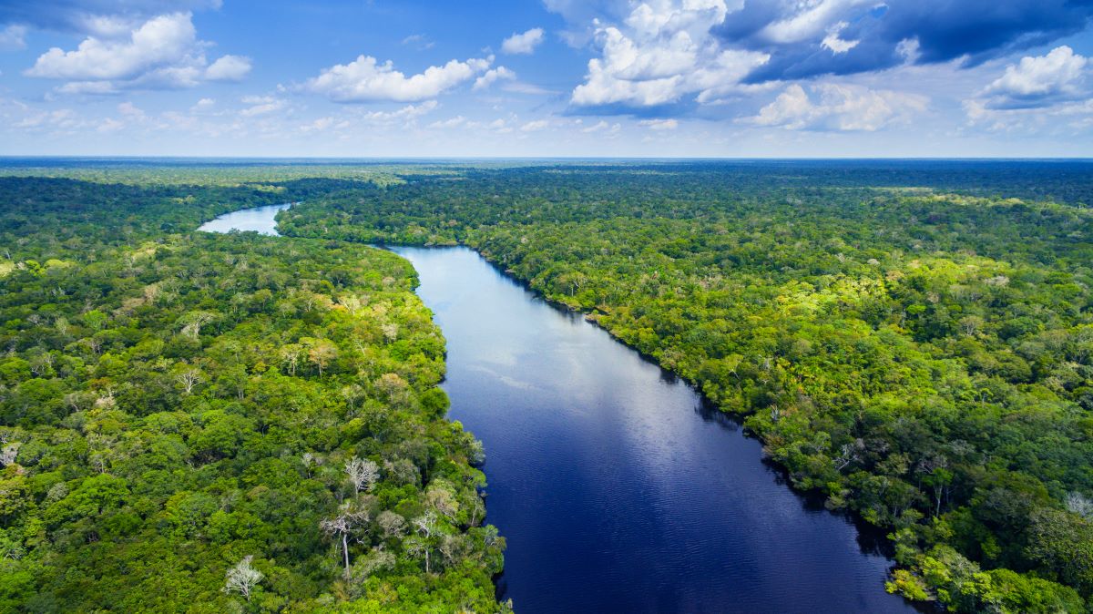 Setor privado pode transformar o Brasil em emissor de créditos de carbono Setor privado pode transformar o Brasil em emissor de créditos de carbono