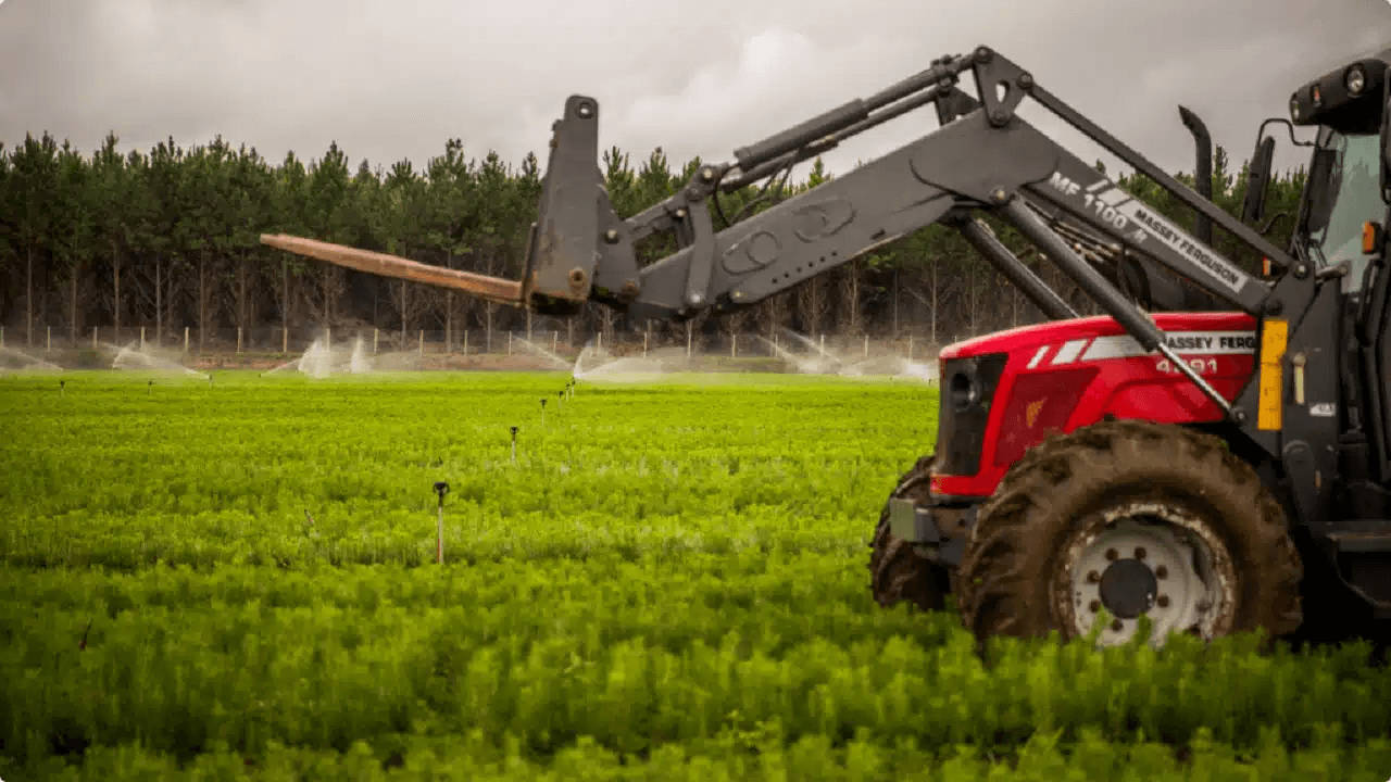 Klabin se engaja nas discussões para a construção de um mercado global de carbono Klabin se engaja nas discussões para a construção de um mercado global de carbono