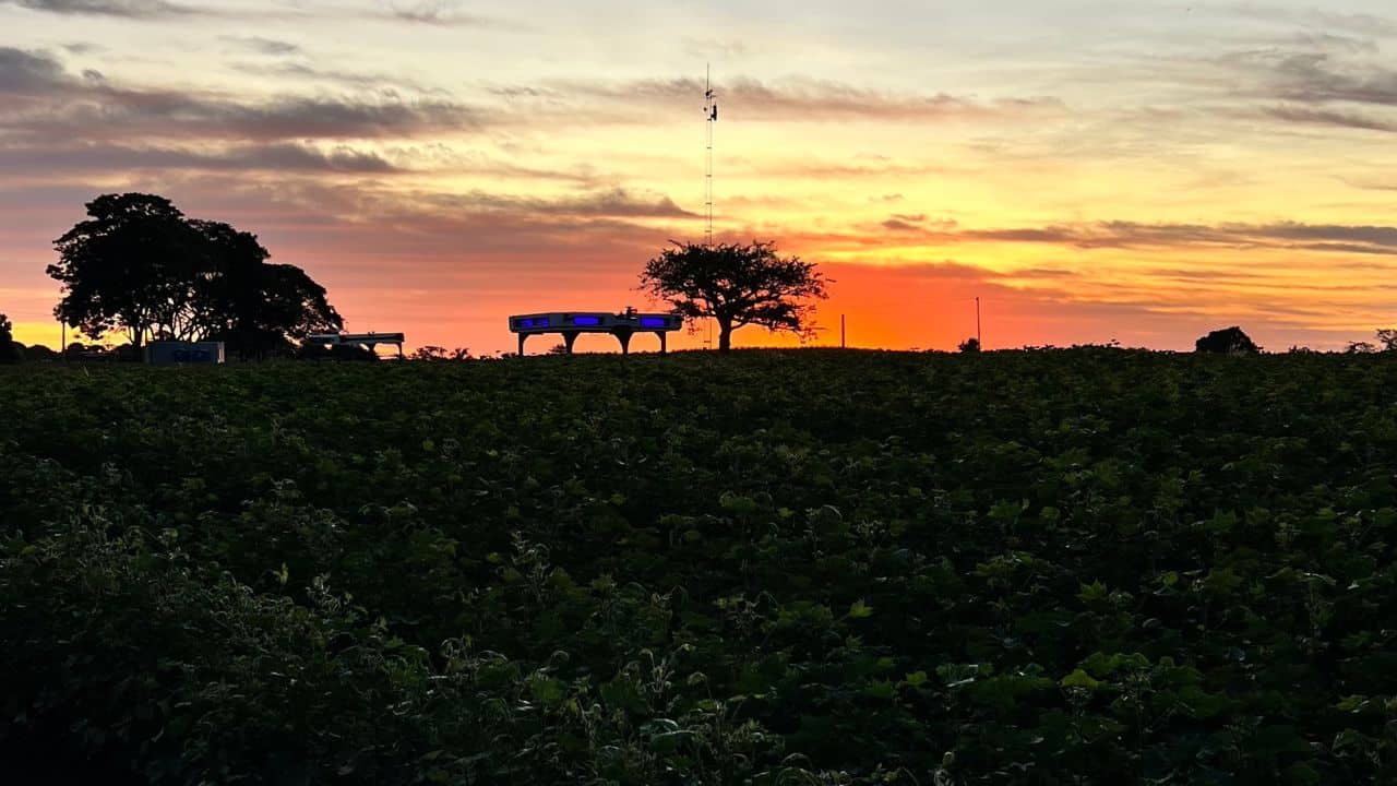 Robô de inteligência artificial caça pragas no campo — sem o uso de químicos Robô de inteligência artificial caça pragas no campo — sem o uso de químicos