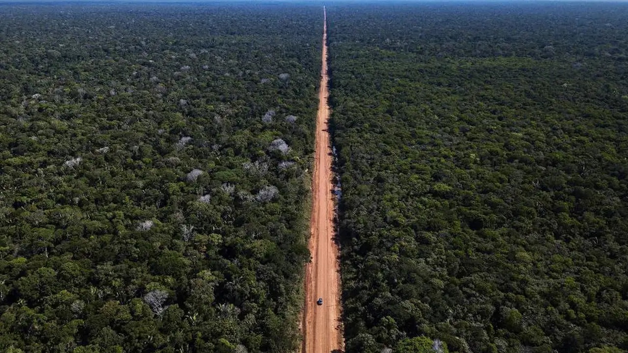 A BR-319, entre Manaus e Porto Velho, cuja pavimentação gera controvérsia A BR-319, entre Manaus e Porto Velho, cuja pavimentação gera controvérsia