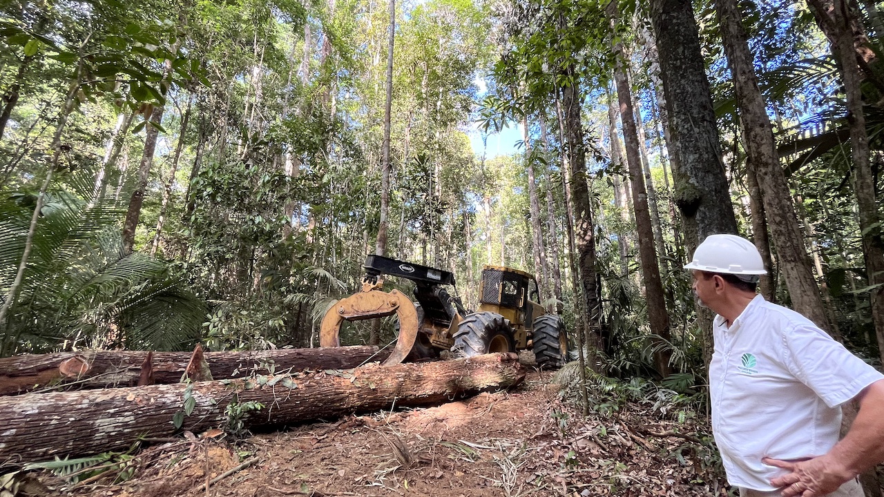 Operação da Mil Madeiras Preciosas, que faz manejo sustentável na Amazônia Operação da Mil Madeiras Preciosas, que faz manejo sustentável na Amazônia