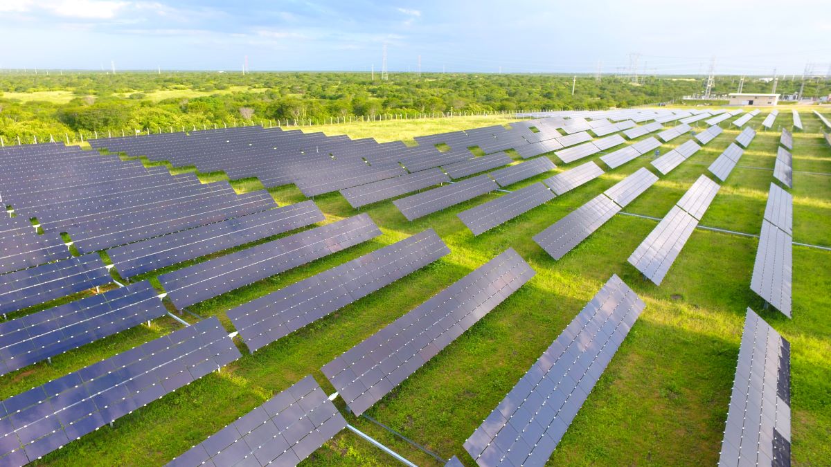 Negociação de certificados de energia renovável bate recorde no Brasil Negociação de certificados de energia renovável bate recorde no Brasil