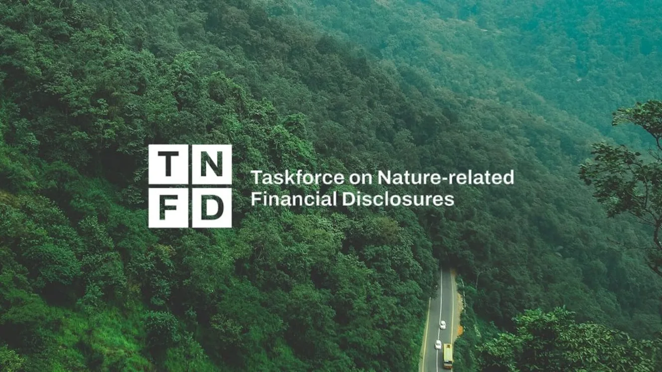 Mais de 500 empresas e bancos se comprometem a incluir natureza em balanços Mais de 500 empresas e bancos se comprometem a incluir natureza em balanços