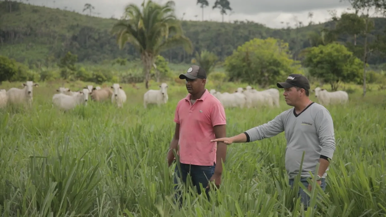 JUNTOS: pequeno produtor de pecuária da Amazônia rumo ao desmatamento zero JUNTOS: pequeno produtor de pecuária da Amazônia rumo ao desmatamento zero