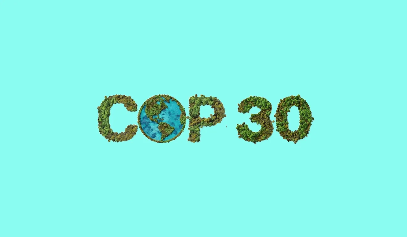 A nove meses da COP30, o que esperar? A nove meses da COP30, o que esperar?