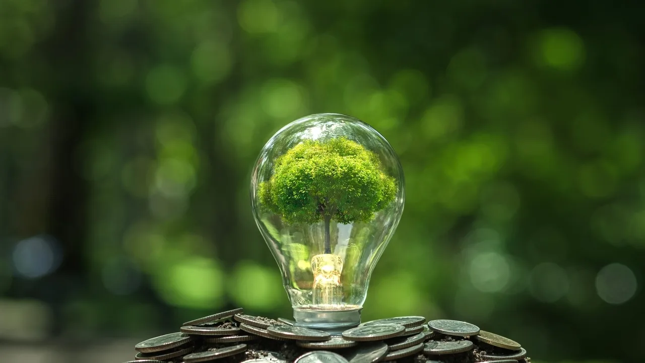 O setor financeiro brasileiro e o desafio climático O setor financeiro brasileiro e o desafio climático