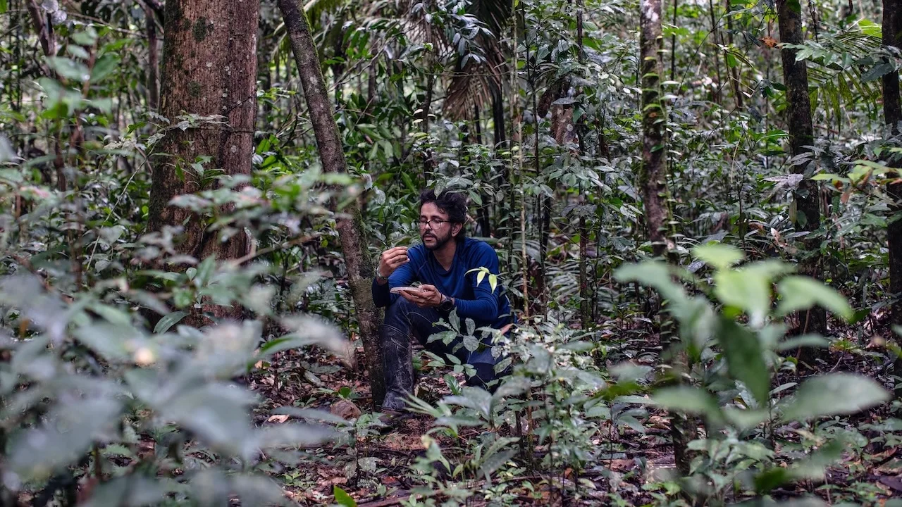 Na Agropalma, proteção da biodiversidade na Amazônia já beneficia o negócio Na Agropalma, proteção da biodiversidade na Amazônia já beneficia o negócio