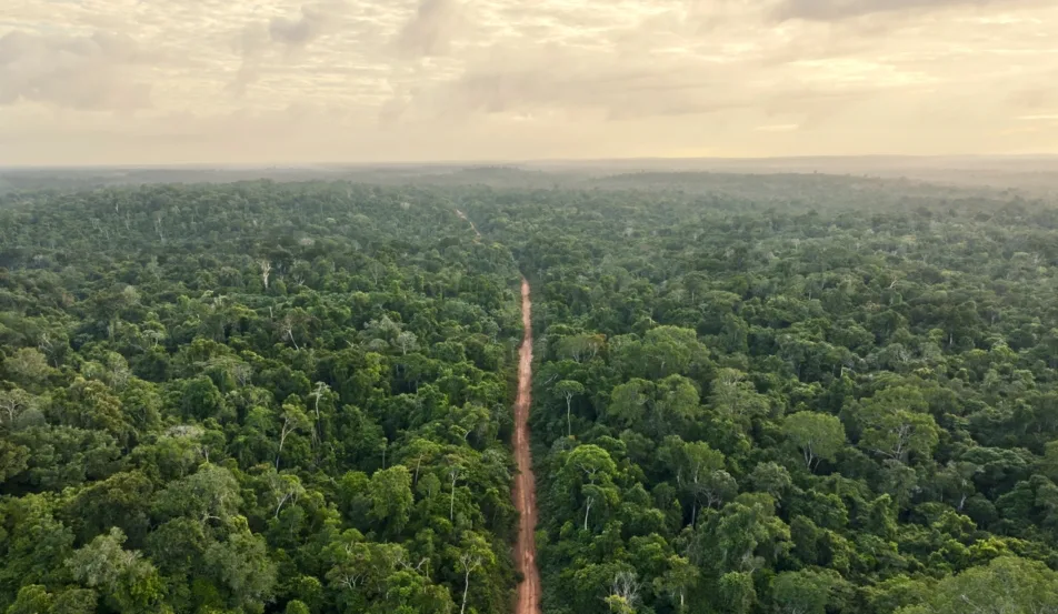 O investidor já decidiu: capital natural é infraestrutura. O Brasil ainda não. O investidor já decidiu: capital natural é infraestrutura. O Brasil ainda não.